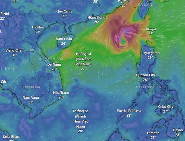 In addition to the tropical depression weakened from storm No. 7, storm No. 8 is currently active in the East Sea. Photo: WINDY
