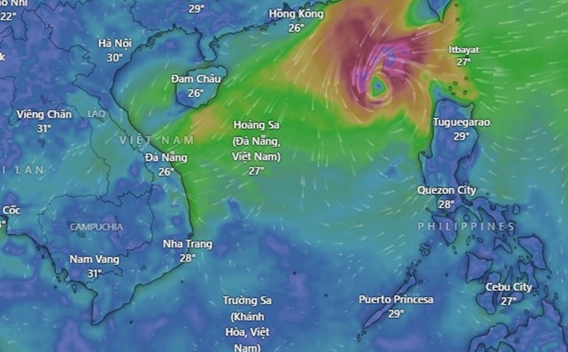 In addition to the tropical depression weakened from storm No. 7, storm No. 8 is currently active in the East Sea. Photo: WINDY