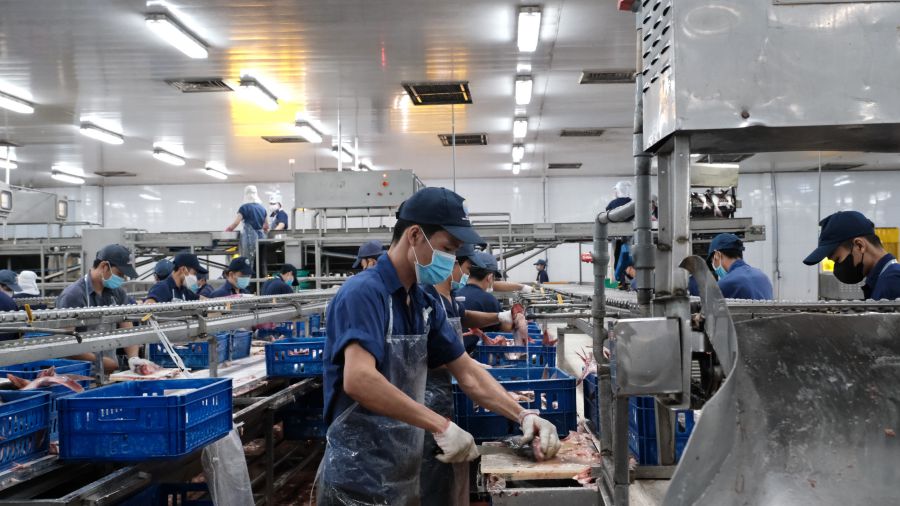 Production is stable in the last months of the year, workers in Can Tho expect high Tet bonuses. Photo: My Ly