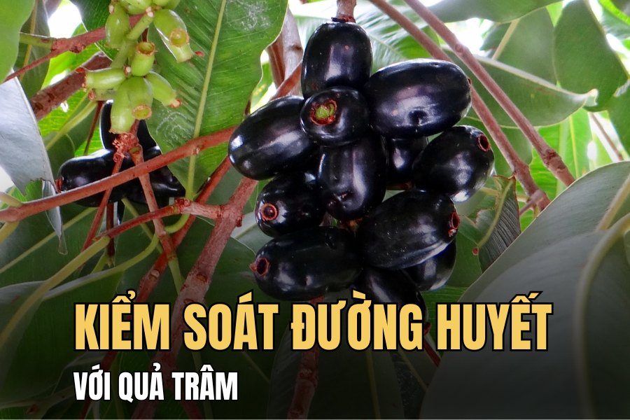 Plum is a fruit with a low glycemic index. Graphics: Hoai Lan