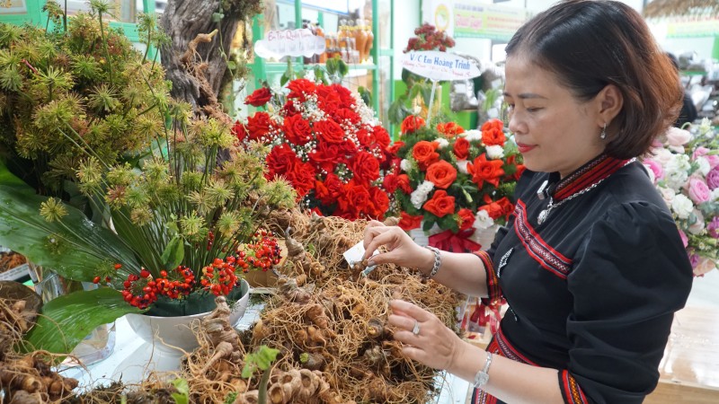 The problem of fake Ngoc Linh ginseng is widespread, greatly affecting the brand and growers. Photo: Nguyen Hoang