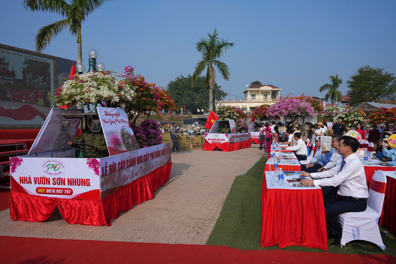 Nong dan thuc hien dieu hanh hoa giay tai Le hoi cay canh, hoa giay Phu Dong nam 2024. Anh: Hoang Loc