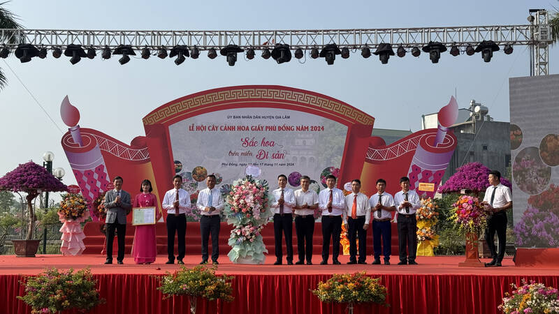 Gia Lam opens the 2024 bonsai and bougainvillea festival. Photo: Hoang Loc