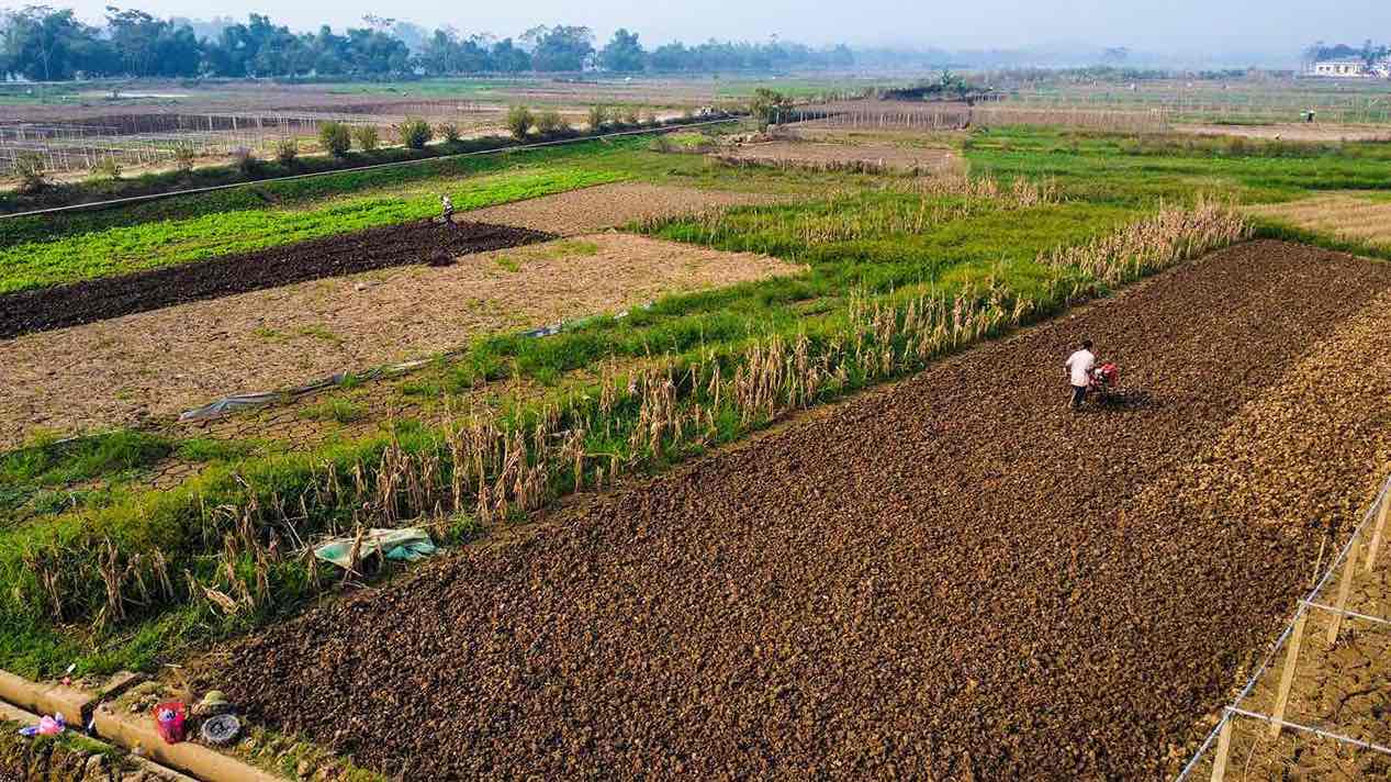 Tai xa Tuy Loc, TP Yen Bai, nhung ngay qua, nguoi dan da nhanh chong khoi phuc lai cac vuon rau sau anh huong cua con bao so 3. Nho thoi tiet thuan loi va su cham chi cua ba con, cac loai rau da bat dau tuoi tot tro lai, chuan bi san sang cung cap cho thi truong trong tinh va vung lan can.