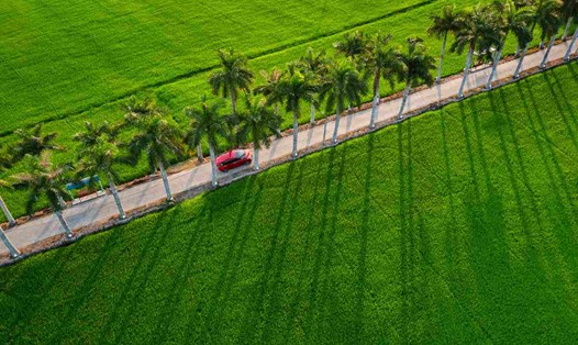 Long An vùng đất hữu tình. Ảnh: Duy Bằng.