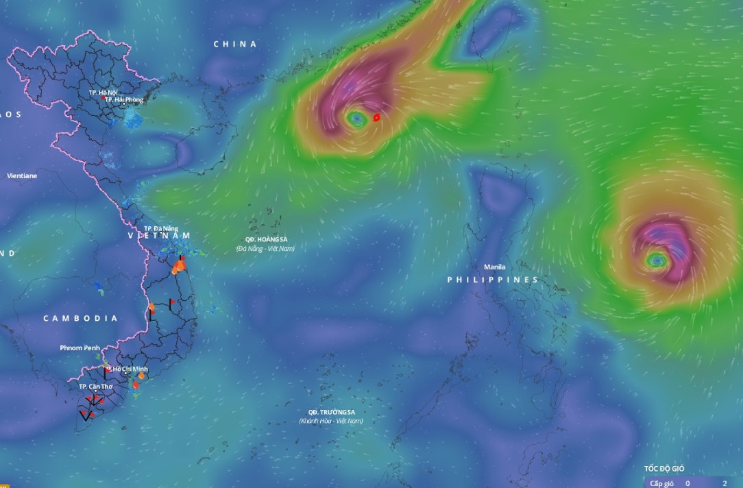 The location of storm No. 8 Toraji is in the northeastern sea area of ​​the North East Sea. Photo: Vietnam Disaster Monitoring System
