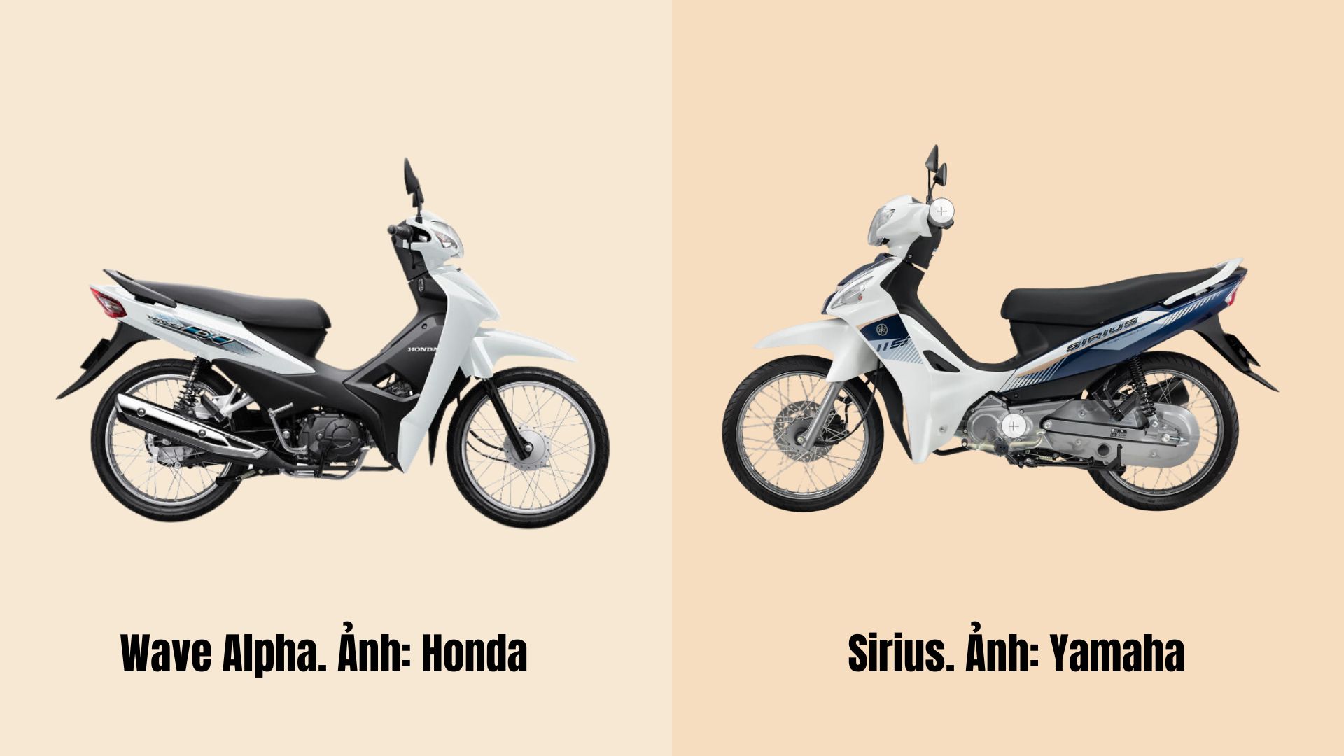 Two models of Wave Alpha and Sirius motorbikes. Graphic photo: Ngoc Diep