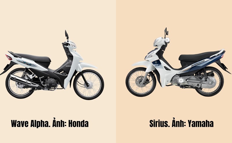 Two models of Wave Alpha and Sirius motorbikes. Graphic photo: Ngoc Diep