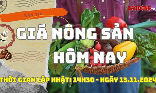 Giá nông sản hôm nay ngày 13.11.2024. Ảnh: Bảo Lâm