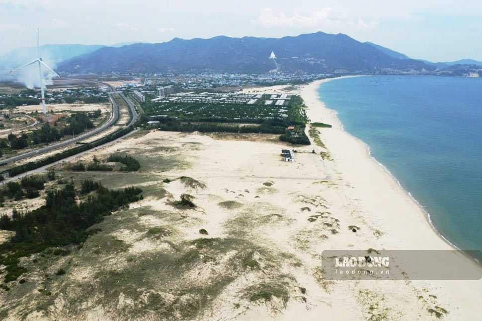 Mot goc tren cao tai Khu kinh te Nhon Hoi o Binh Dinh. Anh: Hoai Luan