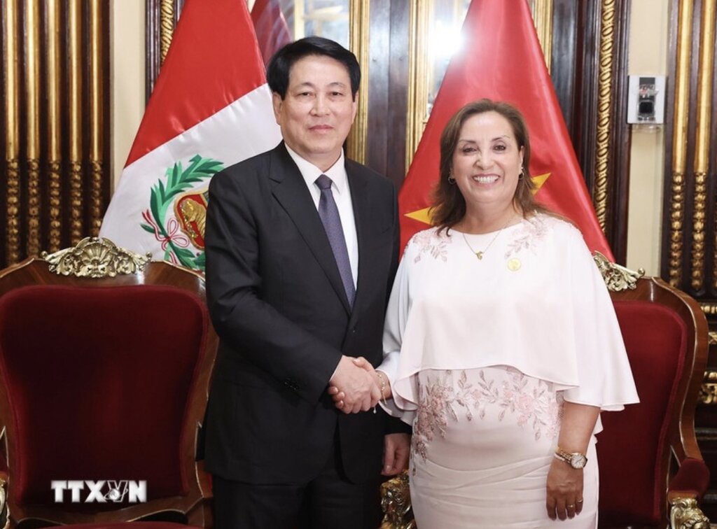 President Luong Cuong and Peruvian President Dina Ercilia Boluarte Zegarra. Photo: VNA