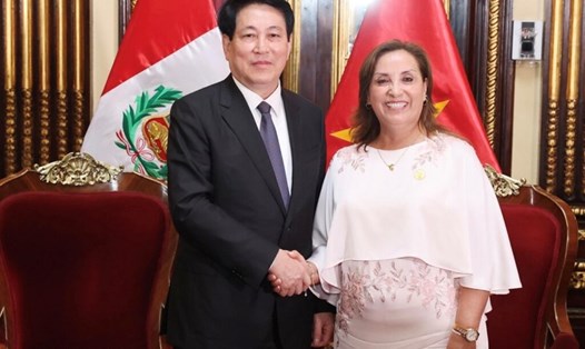 Chủ tịch nước Lương Cường và Tổng thống Peru Dina Ercilia Boluarte Zegarra. Ảnh: TTXVN