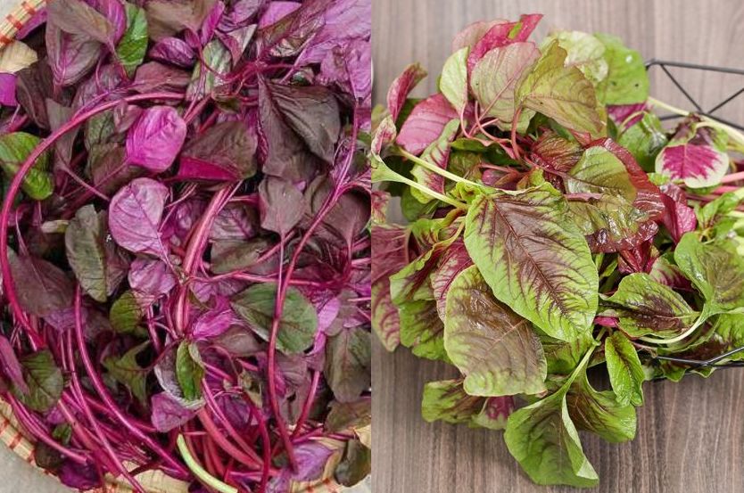 This familiar vegetable helps supplement calcium effectively. Graphics: Linh Dan