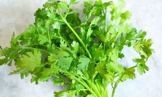 Rau mùi có tiềm năng hỗ trợ kiểm soát đường huyết nhờ vào các hợp chất tự nhiên giúp cải thiện độ nhạy insulin và giảm viêm. Ảnh: Kiều Vũ.