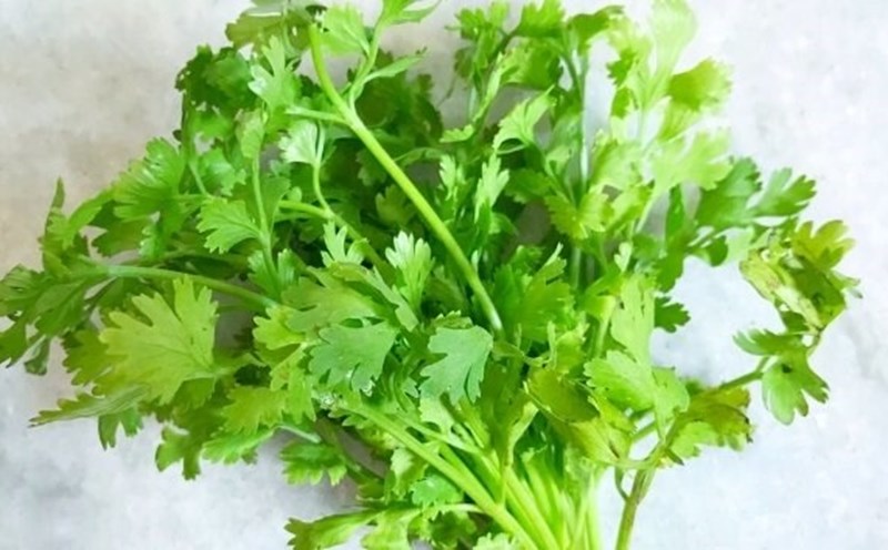 Coriander has the potential to aid in blood sugar control thanks to natural compounds that improve insulin sensitivity and reduce inflammation. Photo: Kieu Vu.