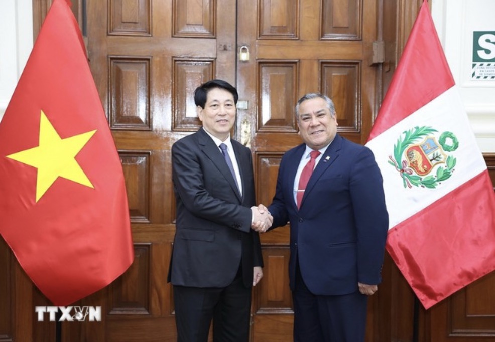 President Luong Cuong meets with President of the Council of Ministers of Peru Gustavo Adriazen. Photo: VNA