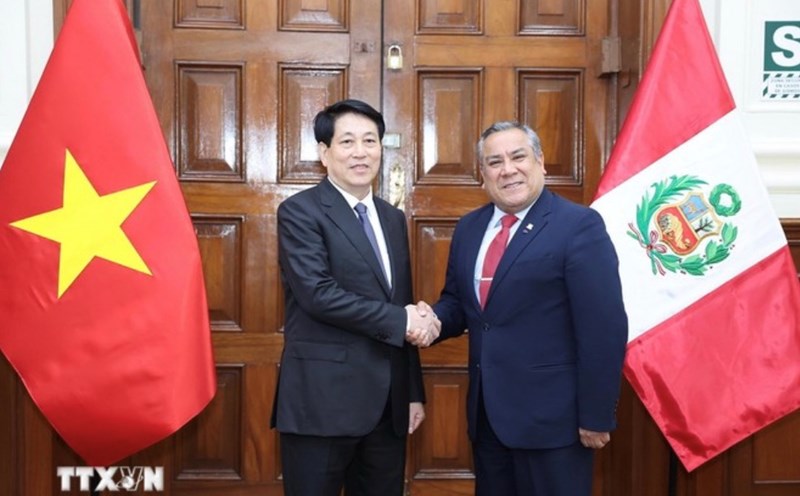 President Luong Cuong meets with President of the Council of Ministers of Peru Gustavo Adriazen. Photo: VNA