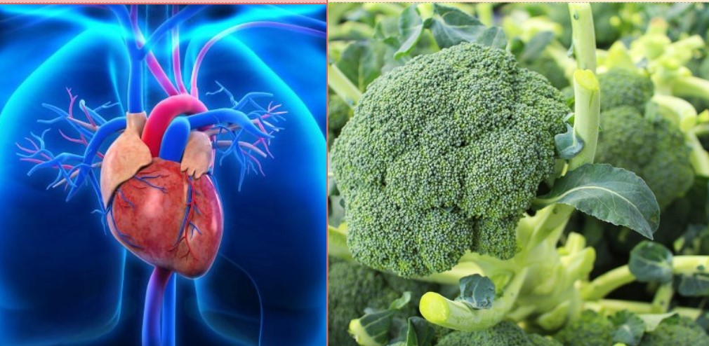 What happens to the body when eating broccoli regularly. Graphics: Cao Thom