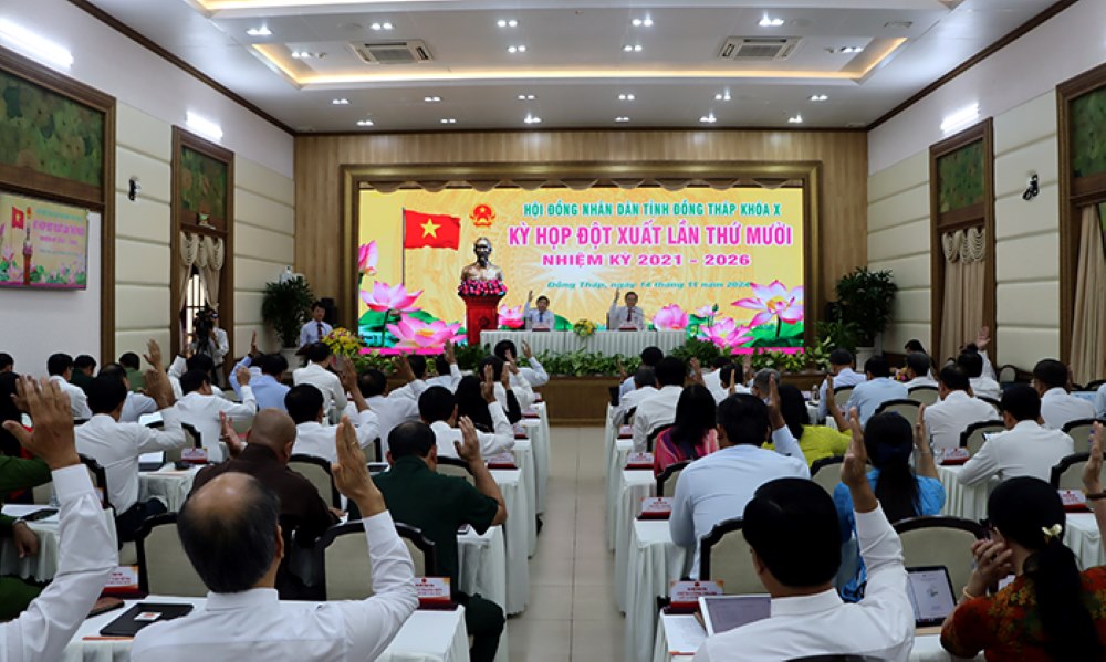 Dai bieu HDND tinh Dong Thap bieu quyet thong qua cac Nghi quyet tai ky hop. Anh: Cong thong tin dien tu Dong Thap. 