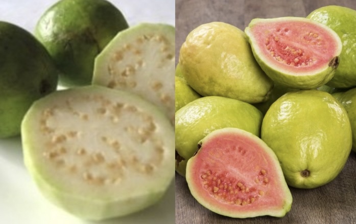 Guava can help reduce uric acid levels in the body. Graphics: Huong Giang