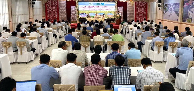 Bac Lieu implements the project of 1 million hectares of high-quality, low-emission rice. Photo: Nhat Ho