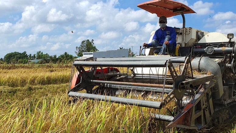 Tỉnh Bạc Liêu có trên 191.000 ha diện tích sản xuất lúa, nhưng chỉ chọn 28.000 ha sản xuất theo mô hình chất lượng cao, phát thải thấp. Ảnh: Nhật Hồ