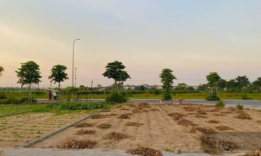 Theo chuyên gia, đầu tư đất nền nên lựa chọn những sản phẩm có tính pháp lý rõ ràng, sản phẩm có giá trị hấp dẫn hoặc khu vực có đầy đủ tiện ích. Ảnh minh họa: Tuyết Lan