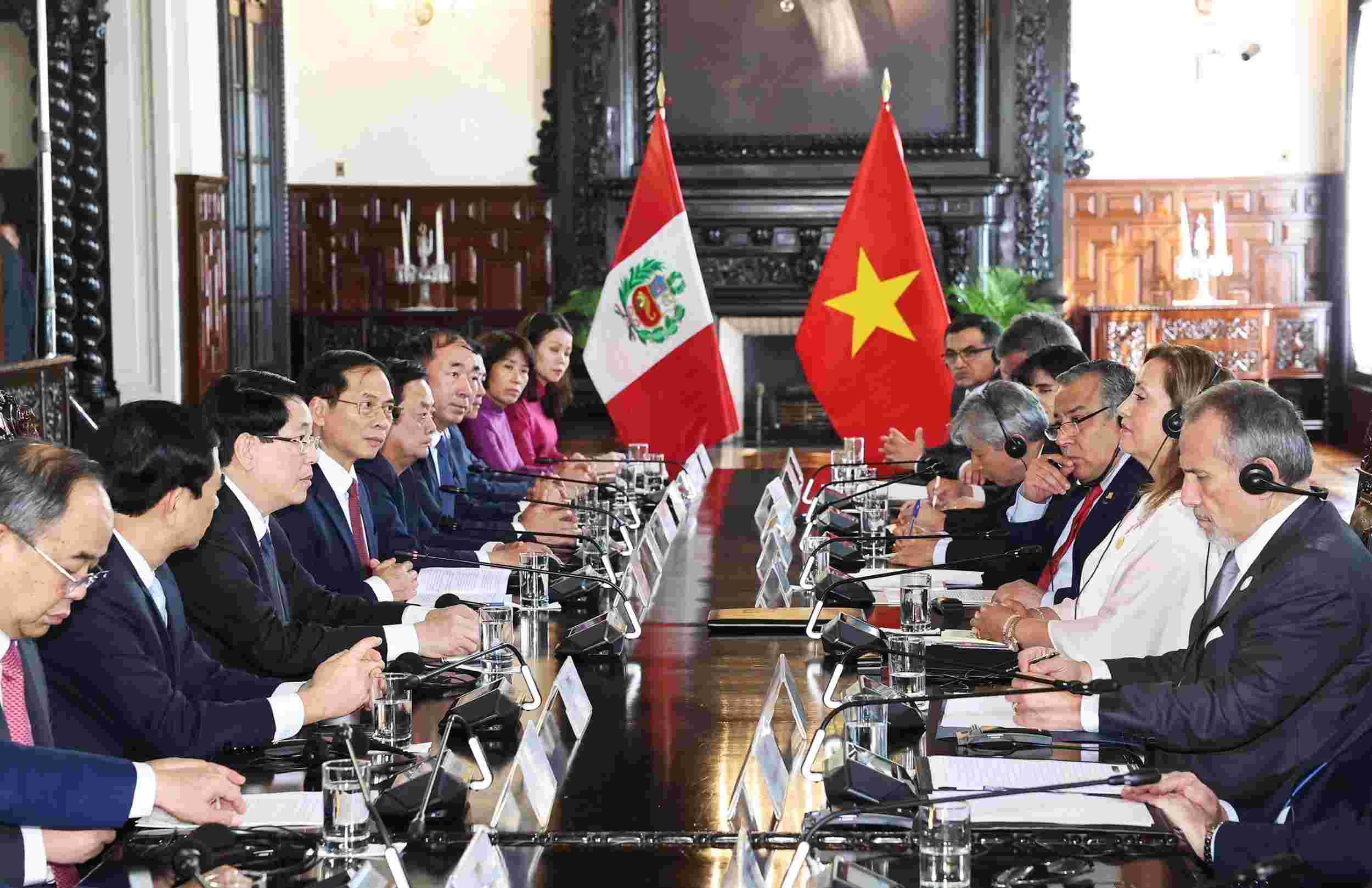 Politburo member and President Luong Cuong holds talks with Peruvian President Dina Ercilia Boluarte Zegarra. Photo: VNA