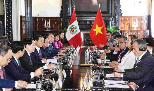 Ủy viên Bộ Chính trị, Chủ tịch nước Lương Cường hội đàm với Tổng thống Peru Dina Ercilia Boluarte Zegarra. Ảnh: TTXVN
