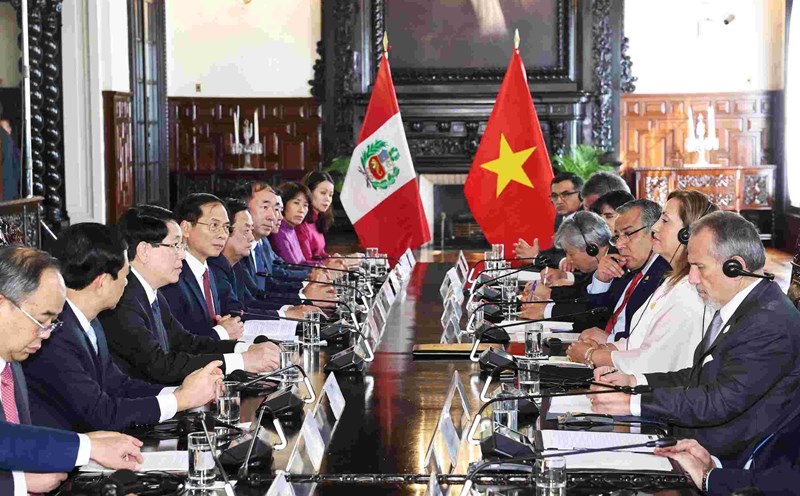 Politburo member and President Luong Cuong holds talks with Peruvian President Dina Ercilia Boluarte Zegarra. Photo: VNA