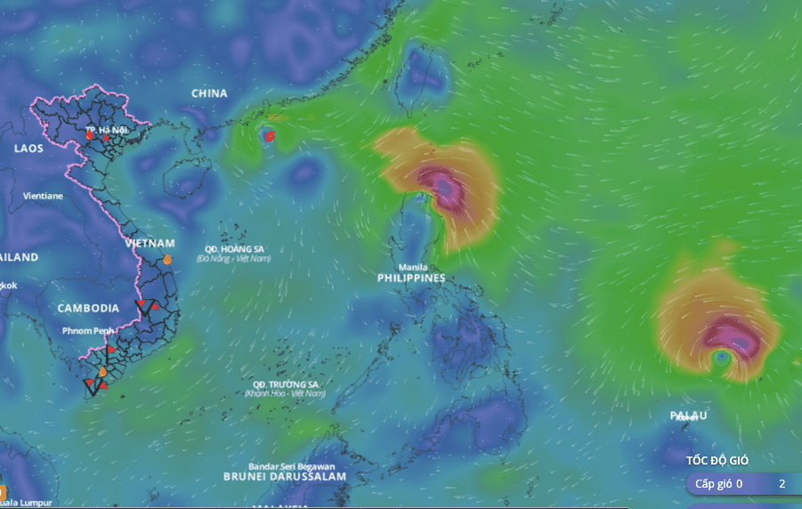 Storm No. 8 is about to weaken into a tropical depression in the East Sea. Photo: Vietnam Disaster Monitoring System