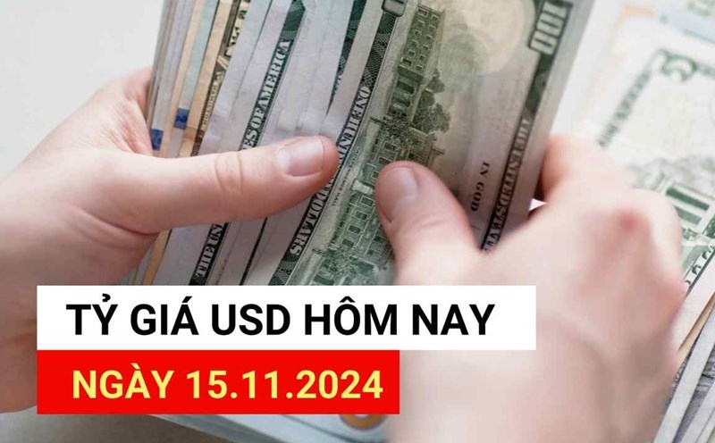 USD exchange rate today 11/16: USD increases impressively