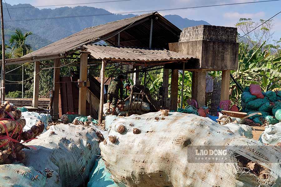 A cassava processing facility in Na Tau commune is still operating without a license (Photo taken on November 11). Photo: Quang Dat