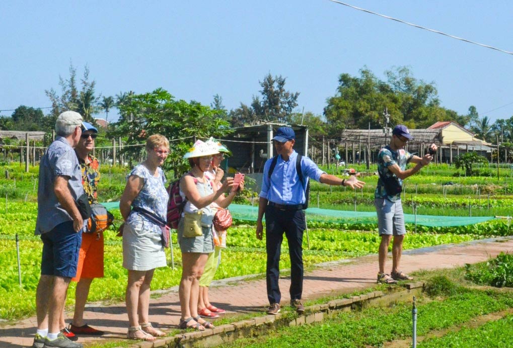 Làng rau Trà Quế thắng giải Làng Du lịch tốt nhất thế giới