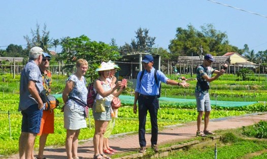 Các sản phẩm làng rau Trà Quế góp phần phát triển kinh tế Hội An, thu hút khách du lịch. Ảnh: Sơn Ca