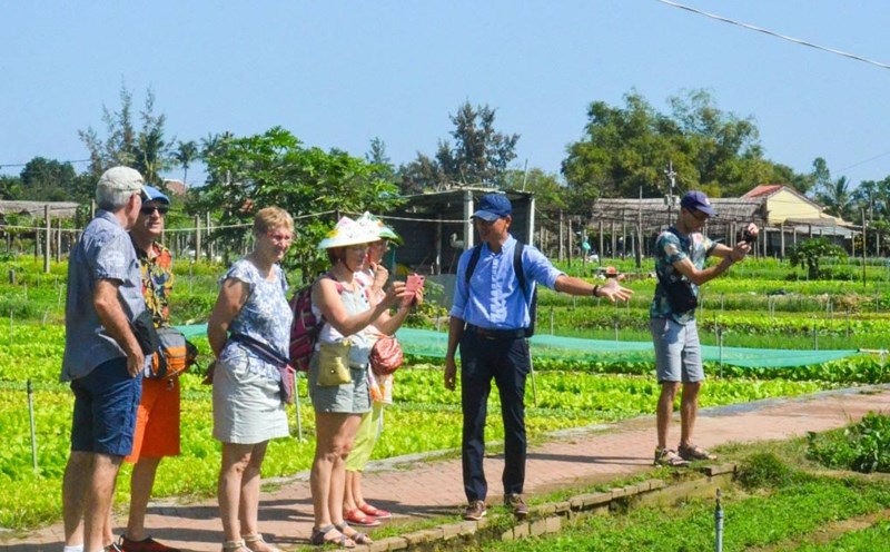 Tra Que vegetable village products contribute to the economic development of Hoi An. Photo: Son Ca