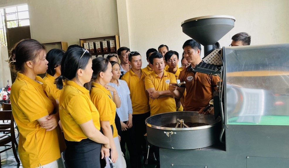 Students were exposed to the organic coffee production process organized by Vuong Thanh Cong Production and Trading Company Limited. Photo: Hong Chuyen