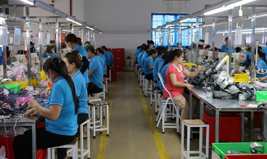 Hơn 18.000 người ở tỉnh Hòa Bình giải quyết việc làm, trong đó 841 người được tuyển chọn đi xuất khẩu lao động. Ảnh: Minh Nguyễn