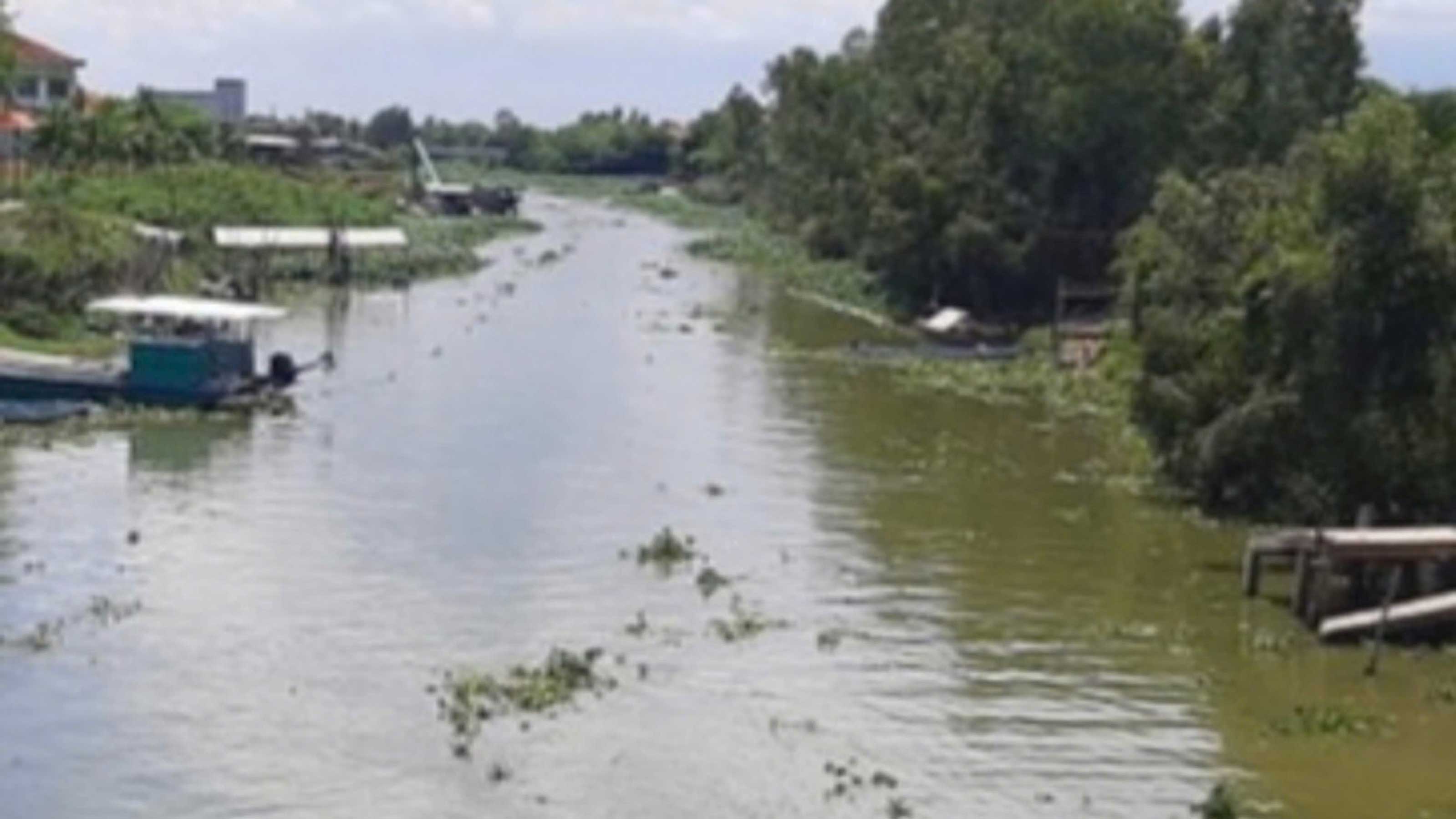 The People's Committee of Tan Ninh commune has issued a notice warning people to be vigilant about information about crocodiles appearing. Photo: An Long