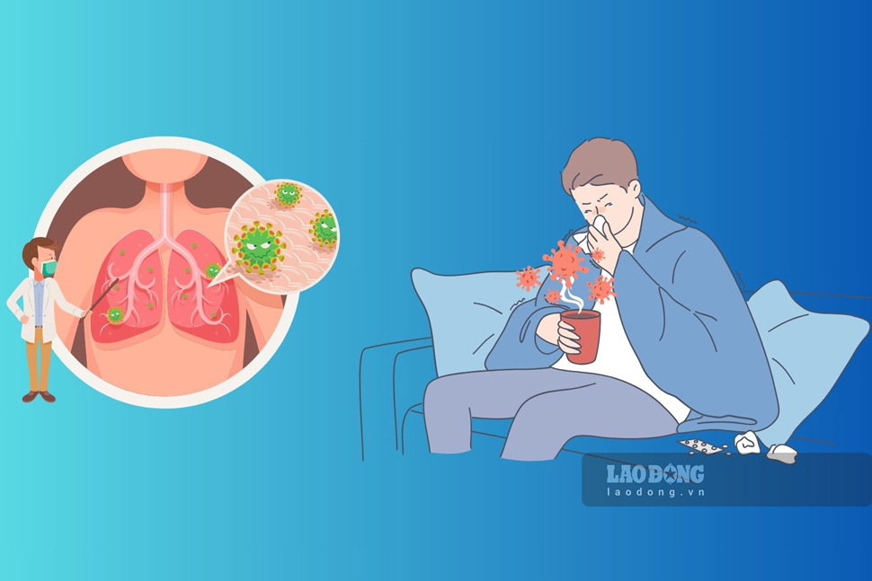 Binh Dinh recorded one more death from Influenza A/H1pdm. Graphics: Hoai Luan