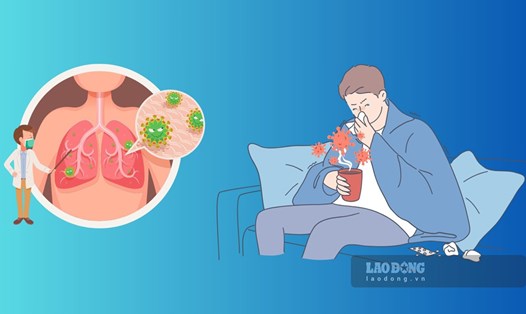 Bình Định ghi nhận thêm 1 ca mắc Cúm A/H1pdm tử vong. Đồ họa: Hoài Luân