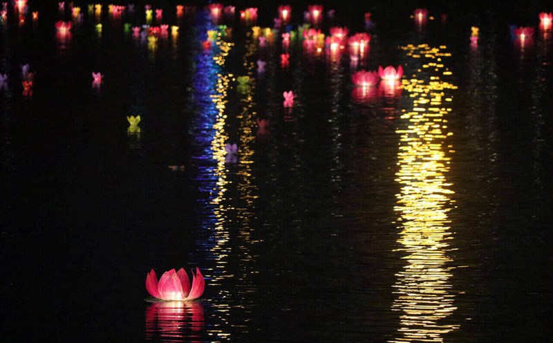 Flower lanterns on the Da River. Photo: Dang Tinh