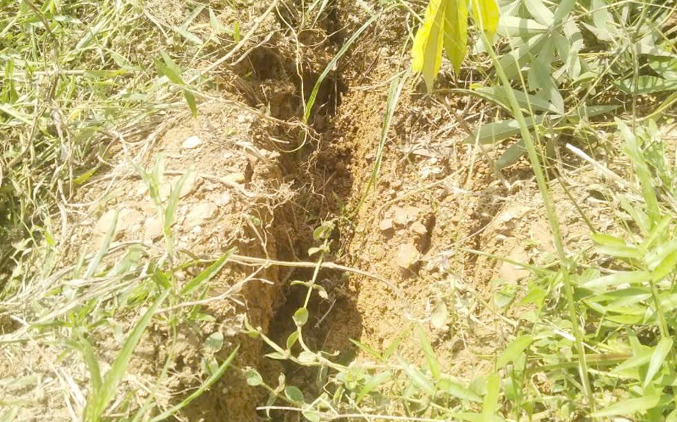 The long crack poses a risk of landslides that directly affect many households. Photo: H. Ngoc