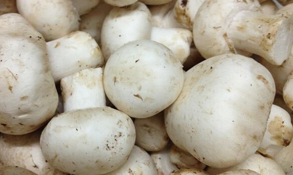 Mushrooms may help prevent diabetes. Photo: Kieu Vu