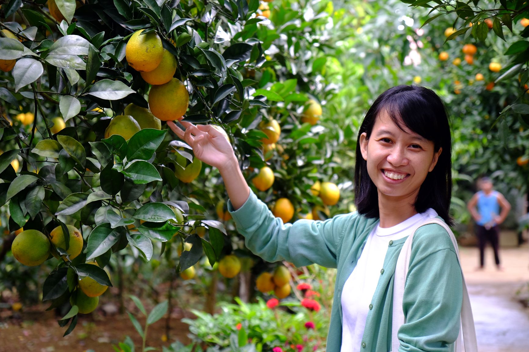 Chi Kim Anh, du khach tu Ha Noi rat hao huc khi lan dau toi tham quan vuon cam triu qua o Moc Chau, mong muon co nhung buc anh dep va trai nghiem mua cam tai vuon. Da nhieu lan di du lich Moc Chau nhung phan lon chi di san mua hoa man, dao dip Tet nguyen dan hoac thuong thuc dac san.