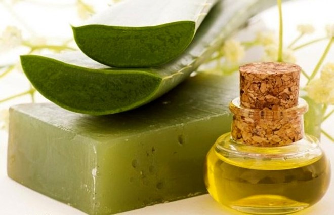 The combination of aloe vera and honey brings many outstanding health benefits, from supporting digestion, boosting immunity, to beautifying the skin. Photo: Xinhua
