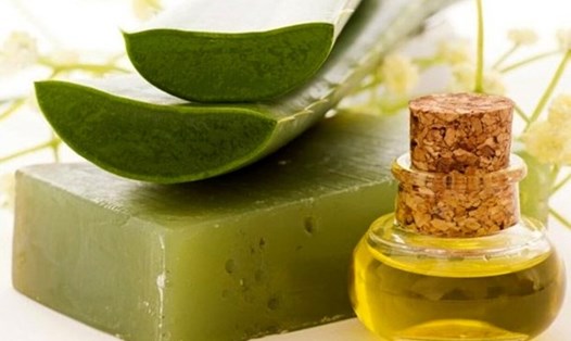 Sự kết hợp giữa nha đam và mật ong mang lại nhiều lợi ích vượt trội cho sức khỏe, từ hỗ trợ tiêu hóa, tăng cường miễn dịch, đến làm đẹp da. Ảnh: Xinhua