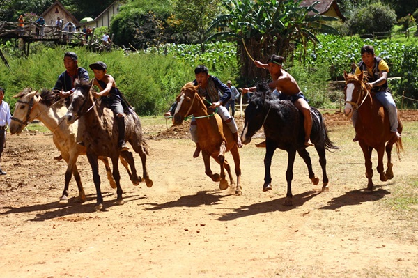 Giải đua ngựa không yên lần đầu tiên được tổ chức trong khuôn khổ Festival Hoa Đà Lạt lần thứ X. Ảnh: Phạm Quang