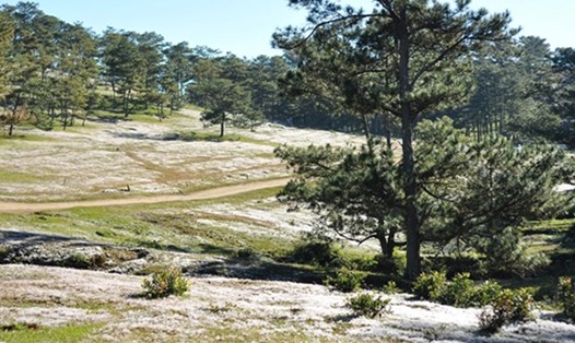 Nhiều hoạt động văn hóa – thể thao sẽ được tổ chức trên địa bàn huyện Lạc Dương nhằm chào mừng Festival hoa Đà Lạt lần thứ X. Ảnh: Phạm Quang
