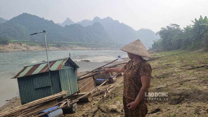 Nguoi dan mat sinh ke vi cac long be hu hong, ca chet. Anh: Lam Thanh